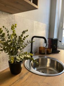 Un fregadero de cocina con una planta en maceta al lado. en Casa-Mia City, en Kempten