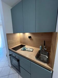 een aanrecht met een wastafel en een fornuis bij Blue Ivy App Salatić Besplatno korištenje električnih bicikala in Vrh