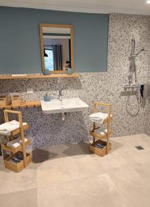 une salle de bains avec un lavabo et un miroir dans l'établissement Bastide des Oliviers, Maison Provençale, à Boulbon