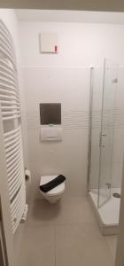 a white bathroom with a toilet and a shower at Central Apartments Chemnitz KASSBERG in Chemnitz