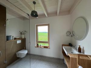 a bathroom with a sink and a toilet and a window at Ferienhaus Frankenzeit in Westheim +11 photos