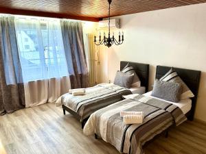 ein Schlafzimmer mit zwei Betten und einem Kronleuchter in der Unterkunft Haus noe in Kehl am Rhein