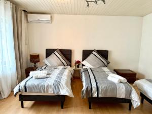 ein Schlafzimmer mit zwei Betten und einem Kronleuchter in der Unterkunft Haus noe in Kehl am Rhein