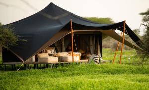 a black tent in a field of green grass at Twende Africa Tours in Moshi