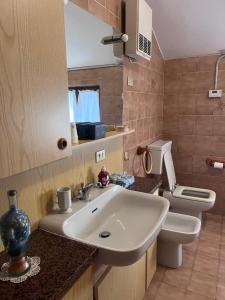 ein Badezimmer mit Waschbecken und Toilette in der Unterkunft Il Rifugio del Brunone in Valda + 35 Fotos