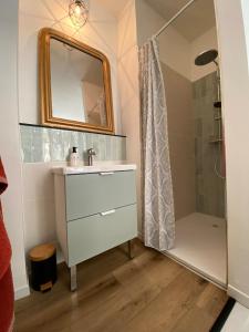 a bathroom with a sink and a shower at La Parenthèse Champenoise in Épernay