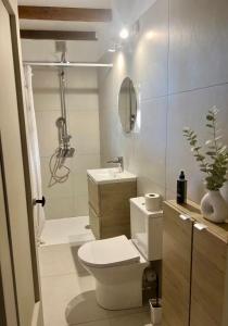 une salle de bains avec toilettes, lavabo et douche dans l'établissement Mazet en Provence, à Châteaurenard