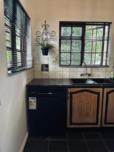 Køkken eller tekøkken på The House On Straight Avenue