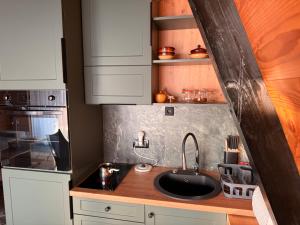 een keuken met witte kasten en een spoelbak bij Vikendica Vista in Vrdnik +13 foto's