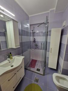 een badkamer met douche, wastafel en toilet bij Apartman Djole in Brzeće