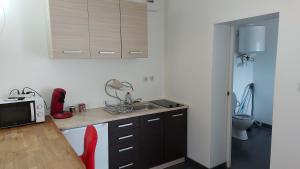 a kitchen with a sink and a microwave at Le bon coin jardin acces autonomie parking privé climatiseur in Castres +5 photos