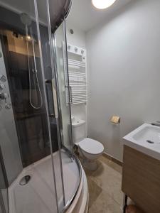 a bathroom with a shower and a toilet and a sink at Studio Bezine, Charmant petit studio centre ville in Angoulême