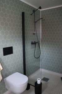 a bathroom with a shower and a toilet in it at Gammelbutikken Guesthouse in Pettvik +33 photos