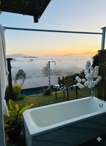 Příroda nedaleko penzionu + 12 fotografií