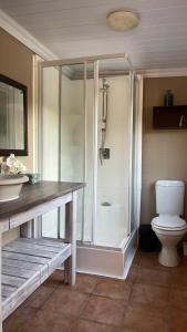 une salle de bain avec une douche avec des toilettes et un lavabo dans l'établissement Houtbosch Farm Stay, à George