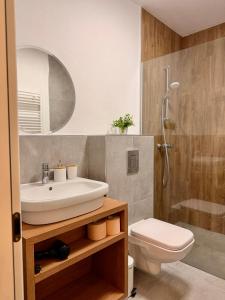 a bathroom with a sink and a toilet and a shower at Pensiunea Draser in Şeica Mică +27 photos