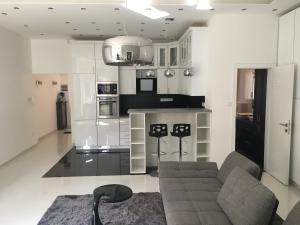 A kitchen or kitchenette at Synagogue Gozsdu Private Apartments