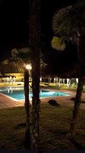 una piscina notturna con due palme di Agriturismo Rio Coverino a Borghetto Altre 14 foto