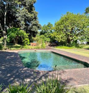 a pool of water in a yard with trees at Piesang Valley Cottage Djungle in Plettenberg Bay