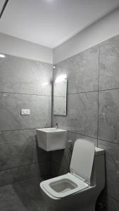 um banheiro com vaso sanitário e pia em Munderi Green Mounts - Premium Pool Stay Near Kalpetta, Wayanad em Kalpatta