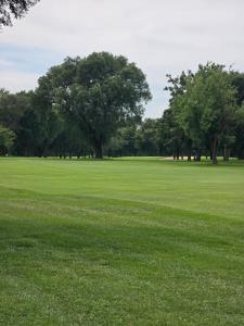 a field of green grass with trees in the background at Bushman Spoor Backpackers in Soweto