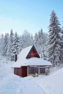 Το Lodge Drveni Kutak τον χειμώνα