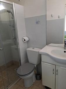 a bathroom with a toilet and a sink and a shower at Le Paradis bleu in Sainte-Anne +6 photos