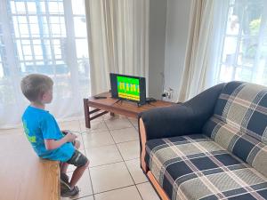 Μια τηλεόραση ή/και κέντρο ψυχαγωγίας στο Nut Tree Nook