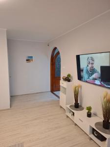 TV a/nebo společenská místnost v ubytování Trumpalaikė nuoma