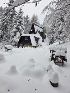 een met sneeuw bedekte tuin met bankjes en een blokhut bij Chata Jozef in Sabinov