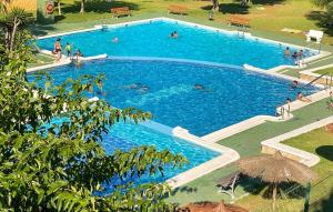 Hồ bơi trong/gần Amazing Home In Torrevieja With Wifi