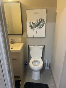 a bathroom with a toilet and a sink and a mirror at Modern 7 Bedroom Masterpiece on Portage Sleeps 16 in Niagara Falls +18 photos