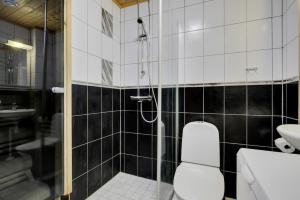 a bathroom with a shower and a toilet and a sink at Pyhäkoti D - 30 Meters From the Slopes in Pyhätunturi