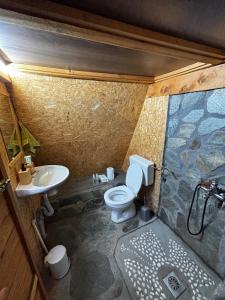 een kleine badkamer met toilet en wastafel bij Villa Alpi in Nižepole