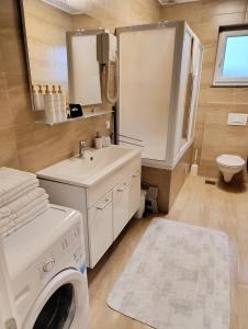 une salle de bains avec lave-linge et lavabo dans l'établissement Apartmani Jasmina 2, à Bihać