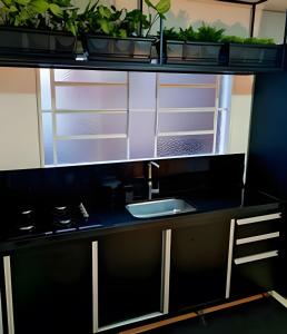a kitchen with a sink and potted plants at Apartamento Major Nicoletti in Gramado