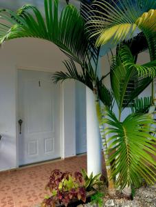 Fotografie z fotogalerie ubytování Castillo Escondite v destinaci Las Terrenas
