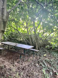 Fotografie z fotogalerie ubytování Menyecske Guesthouse v destinaci Keszü + 60 fotografií