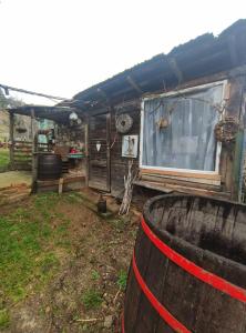 Φωτογραφία από το άλμπουμ του Menyecske Guesthouse σε Keszü +60 φωτογραφίες