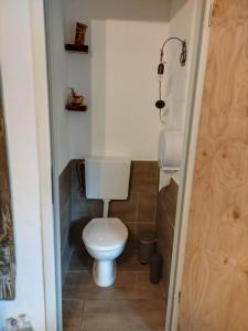 a bathroom with a white toilet in a room at Menyecske Guesthouse in Keszü +28 photos