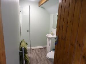 a bathroom with a toilet and a glass shower at Willey Lane Farm in Lingen