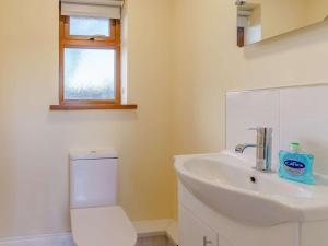 een badkamer met een witte wastafel en een toilet bij 2 Bed in Cellan 86507 in Cellan +18 foto's