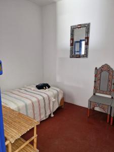 ein Schlafzimmer mit einer Katze, die auf einem Bett liegt, und einem Spiegel in der Unterkunft le grand atlas in Mirleft