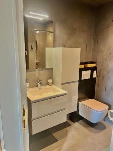 een badkamer met een wastafel en een toilet bij Le refuge de Villeroux in Vaux-sur-Sûre