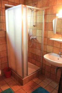 a shower with a glass door next to a sink at Haus Sigrid in Bad Kleinkirchheim