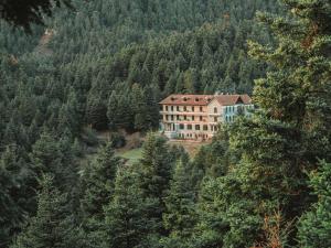 Příroda nedaleko hotelu