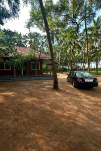 Vườn quanh STRIPGREENS BeACH & BACKWATER RESORT VALIYAPARAMBA