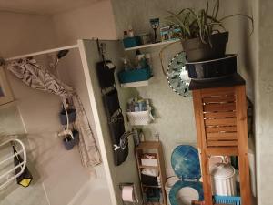 a bathroom with a toilet and a plant on the wall at Chambres d'hôtes in Saint-Paul-Trois-Châteaux