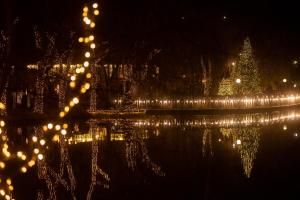 Θέα στο ποτάμι κοντά σε αυτό το ξενοδοχείο