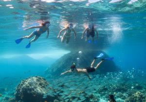Gæster der bor på Day Use Veleiro Catavento em Paraty
